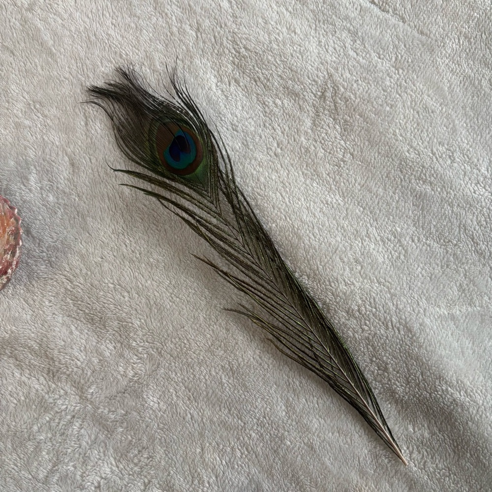 Spirit Cleanse Bundle – Smudge Kit with Quartz - Picture 4 of 4